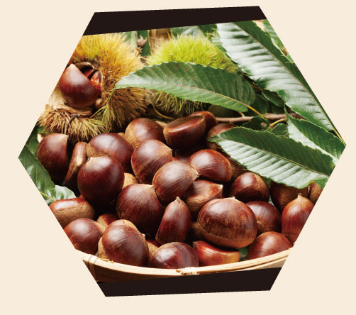 ざるに盛られた栗